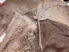 -川西坝子(老军营店)