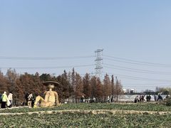 -乌村