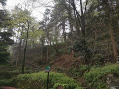 -莫干山风景区