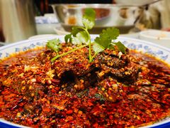 -芙蓉凰花园酒楼