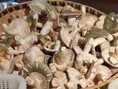 -普洱小黄牛餐厅铜火锅·思茅地方菜(世纪城店)