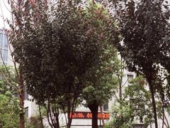 -501號台州海鲜餐厅(海创园店)