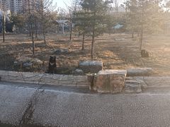-太原动物园