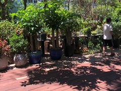 -T館·花园艺术餐厅
