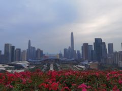 -莲花山公园