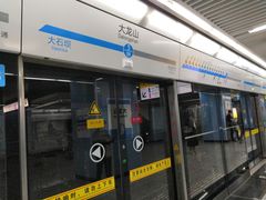 -大龙山(地铁站)