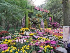 -杭州植物园