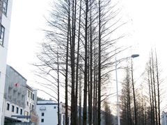 -黄山阿拉酒店(黄山风景区换乘中心店)