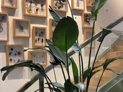 -植物学家的女儿(北马道巷店)