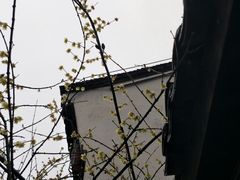 -杭州武林万怡酒店
