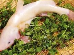 -妈斗家纸包鱼(秦隆步行街店)