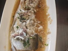 -樟树底(胜利河美食街店)