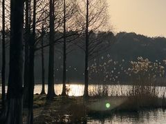 -东钱湖旅游度假区