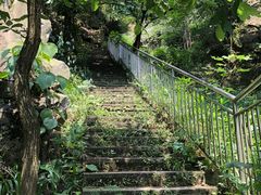 -南山植物园