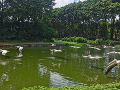 -广州长隆飞鸟乐园