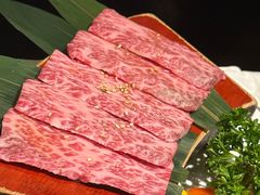 上等牛小排-炼火烤肉店