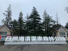 -日照海滨国家森林公园