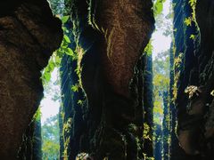 -梭布垭石林景区