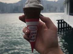 -富豪雪糕车流动点(尖沙咀店)