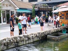 -京北渔家傲