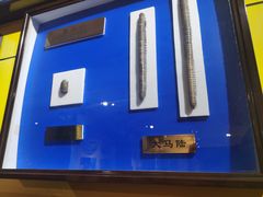 -上海昆虫博物馆