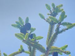 -扁都口生态休闲旅游区