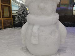 -世界之窗阿尔卑斯冰雪世界