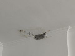 -广州啄木鸟房屋防水补漏