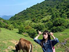 -大姆山草场