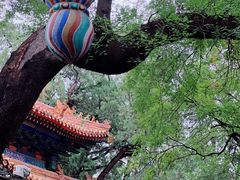 -北京国子监胡同