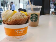 -iceason爱茜茜里·意大利健康冰淇淋(骑龙巷店)
