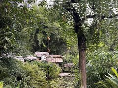 -龙头寺公园