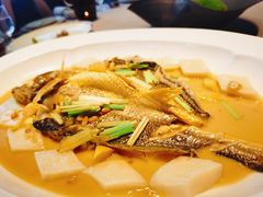 -子福慧(虹桥店)