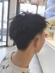 -爱维丽