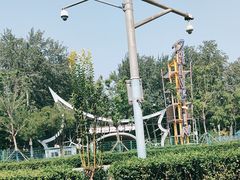 -枫花园汽车电影院(朝阳公园店)