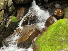 -藏龙百瀑风景区