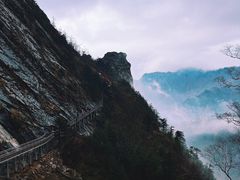 -朱雀国家森林公园