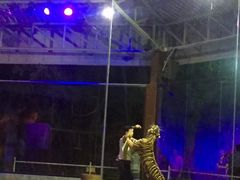 -清迈夜间动物园