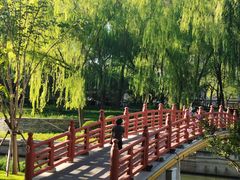 -元大都城垣遗址公园