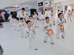 -极真空手道修远道场