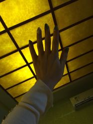 点击看大图 -海星美甲美睫