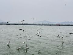 -云龙湖旅游景区