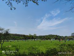 -宜兴龙背山森林公园