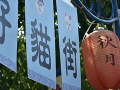 -猫街饭团(顶澳仔猫街店)