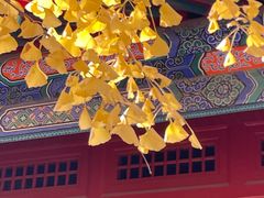 -承恩寺