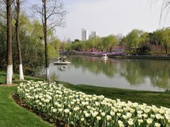 -圩墩遗址公园