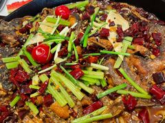 -老板恋上鱼(恒隆广场店)