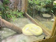 -上海大自然野生昆虫馆(东方明珠·爬宠昆虫探索中心)