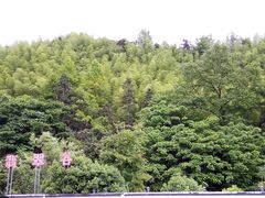 -黄山北海宾馆