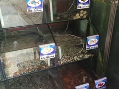 水产区-南海渔家•海鲜•正宗海南菜(海棠湾店)
